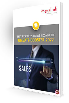 E-Commerce - Die wichtigsten Faktoren für B2B-Umsatz