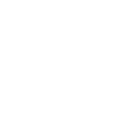icon_Infografik