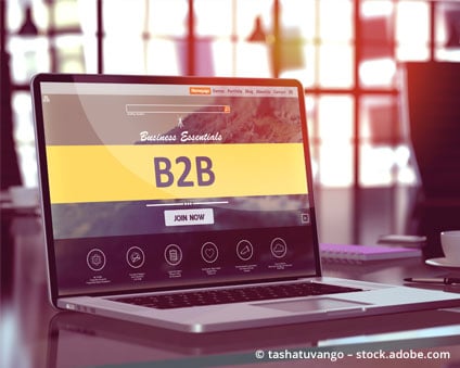 hero-b2b-laptop-424x339