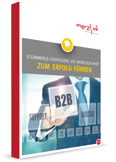 e-book-ecommerce-strategien